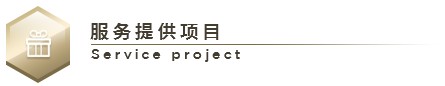 new服务提供项目