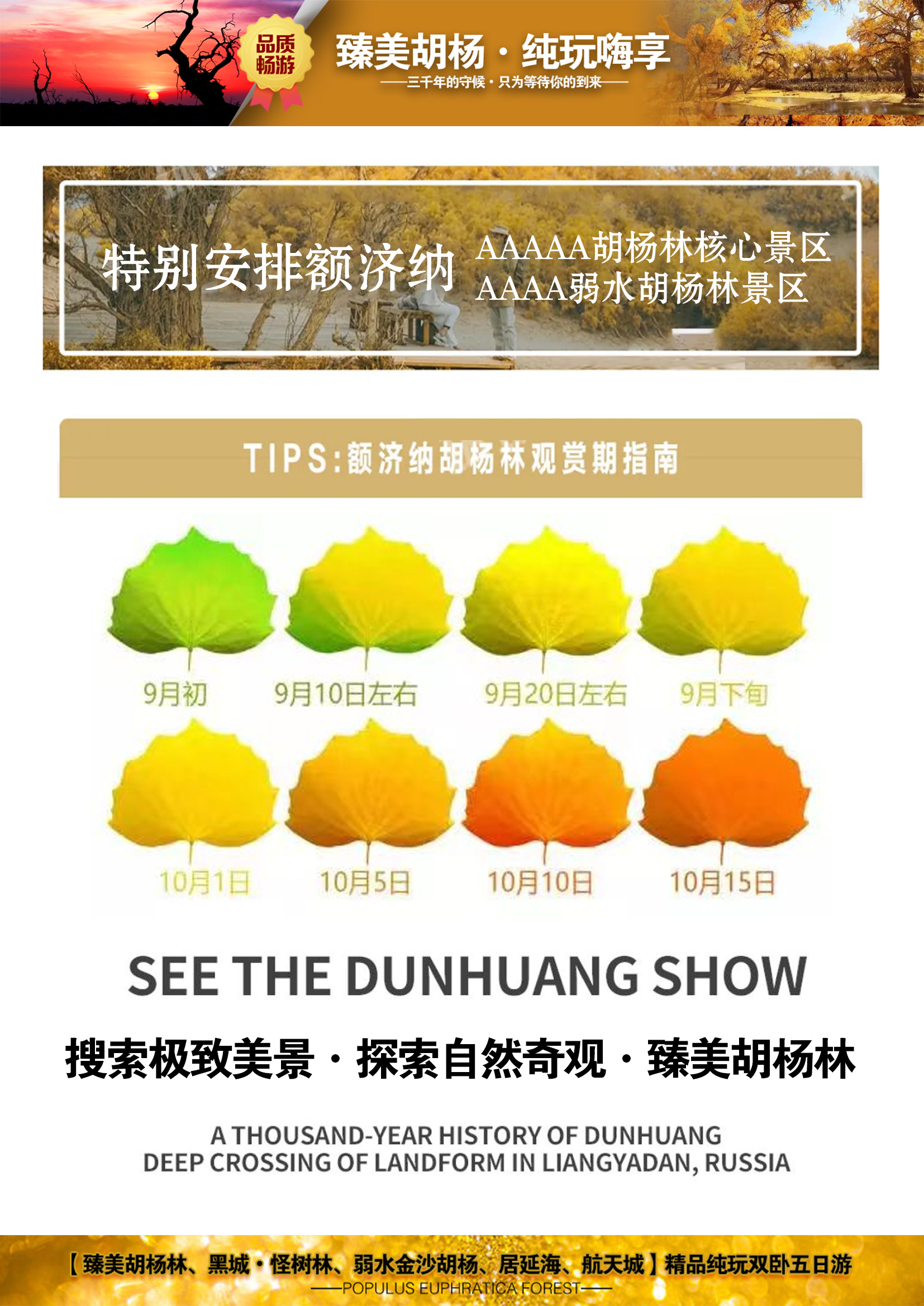 D:\2023年文件\LL\旅游\胡杨林\1-丽途旅游群\臻美胡杨林高端纯玩双卧5日游\枫叶.jpg枫叶
