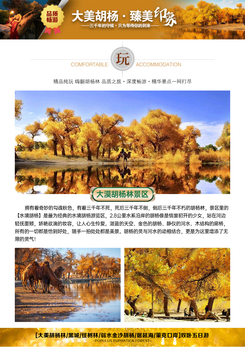 d:/Documents/图片2.jpg图片2