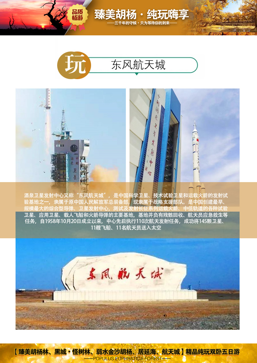 臻美胡杨-2023_09