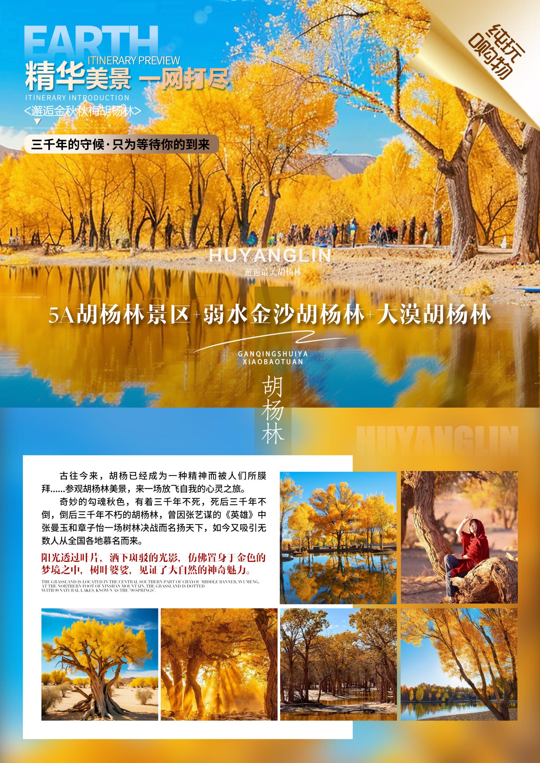 胡杨林景区