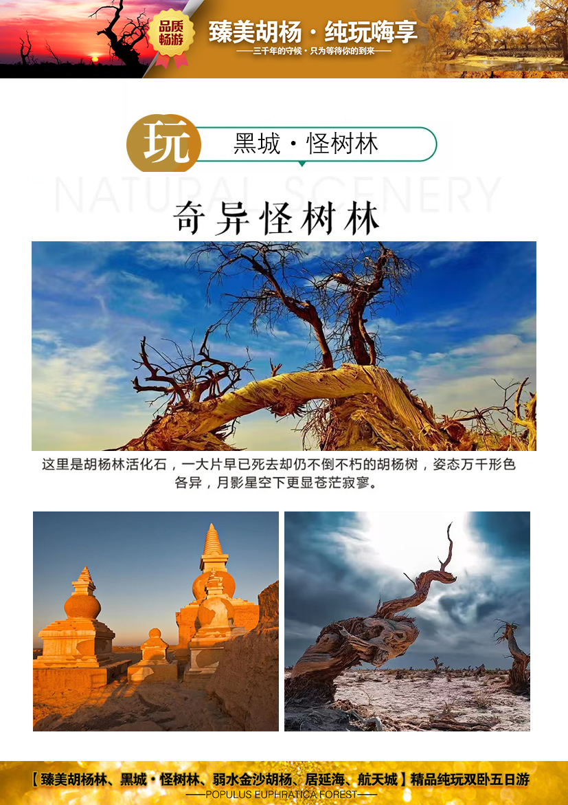c:/users/administrator/desktop/臻美胡杨林3.jpg臻美胡杨林3