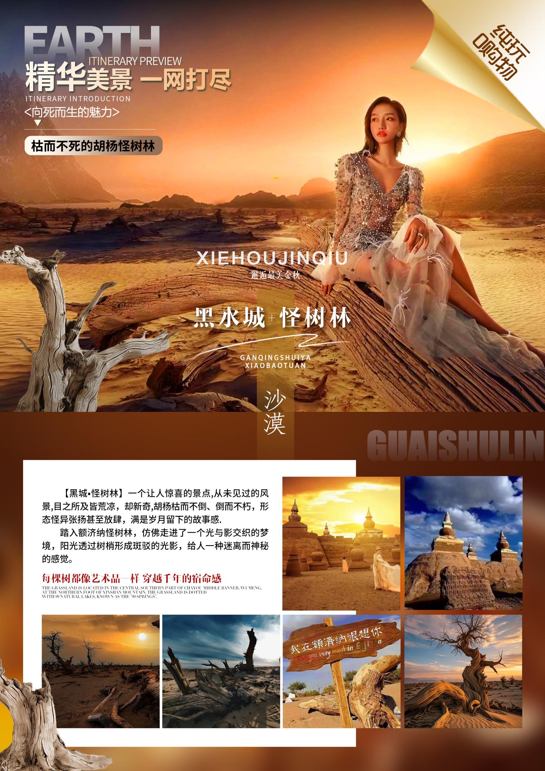 八道桥沙海王国+怪树林