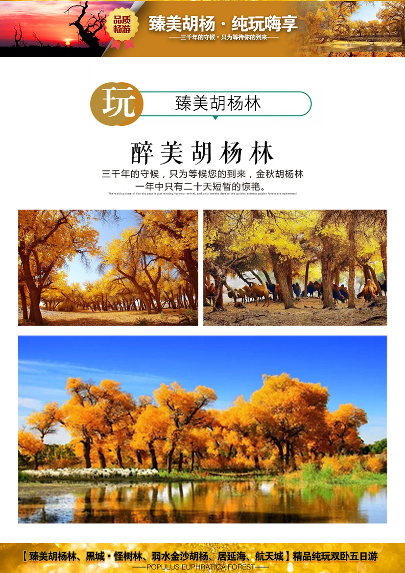 C:/Users/Administrator/Desktop/臻美胡杨林4.jpg臻美胡杨林4