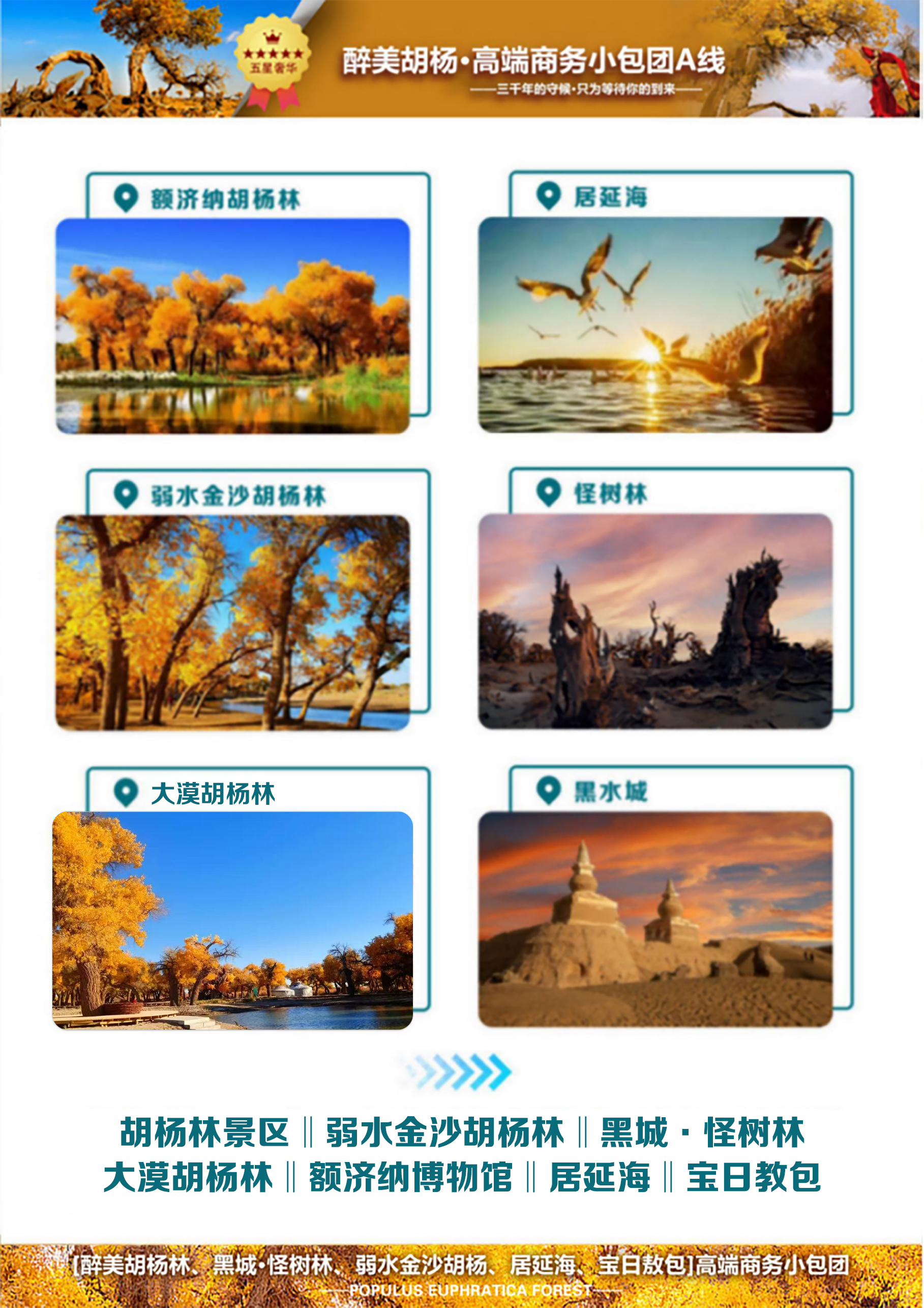 C:/Users/Administrator/Desktop/醉美胡杨林3.jpg醉美胡杨林3